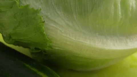 Iceberg Lettuce Texture Close-up. Stock Footage 256185872