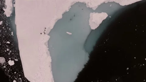 Iceberg, Overhead View, Remote Wilderness, Antarctica Stock Footage 329936331