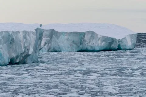 Iceberg Stock Photos