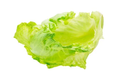 Iceberg salad Stock Photos