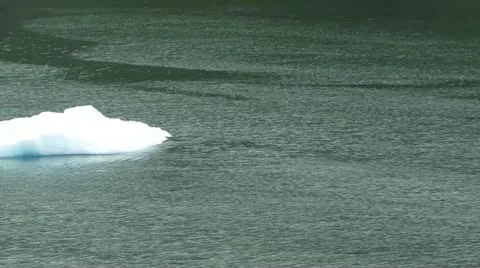 Iceberg in sea Stock Footage
