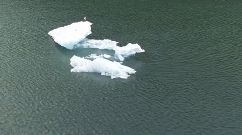 Iceberg w/ bird in flight Stock Footage 12607259