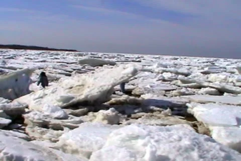 Icebergs on the beach and beyond Stock Footage 9451485