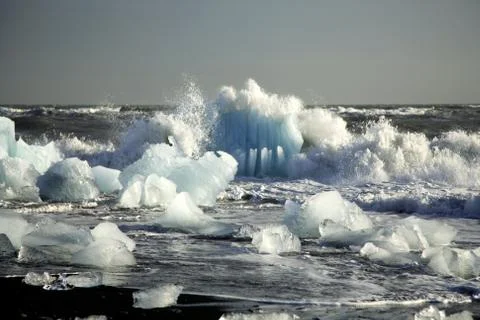 Icebergs on the beach Stock Photos
