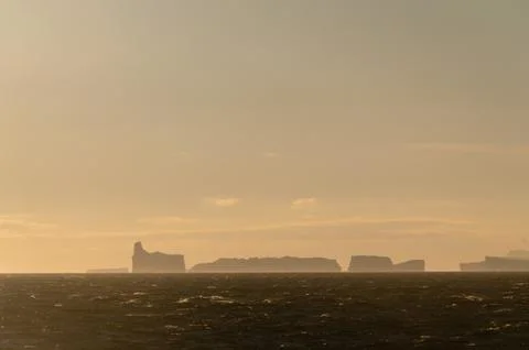 Icebergs in the evening light Stock Photos