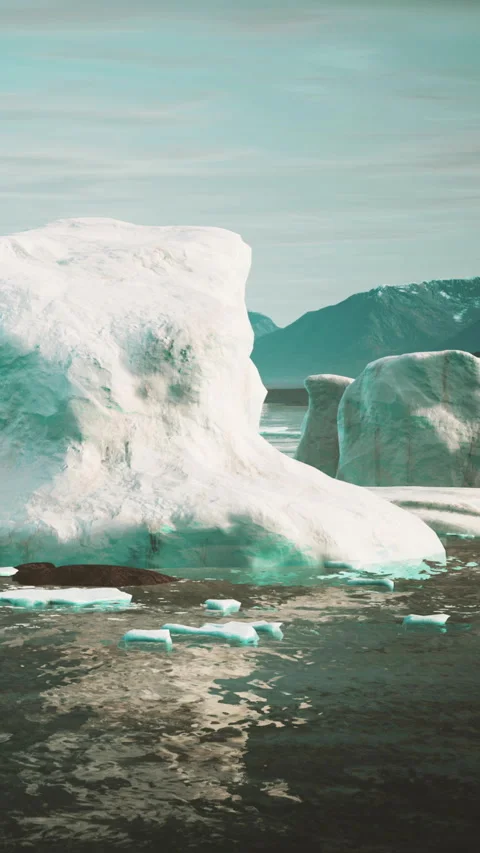 Icebergs float in a calm water area with mountains in the background Video stock 347259690