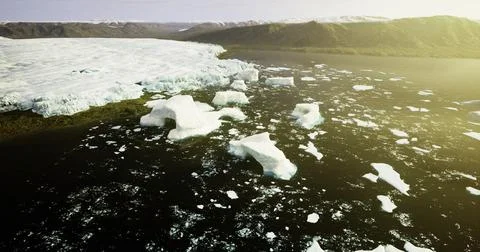 Icebergs float in dark waters by a mountain coast in daylight Stock Illustration