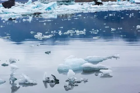 Icebergs Stock Photos