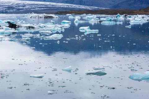 Icebergs Stock Photos