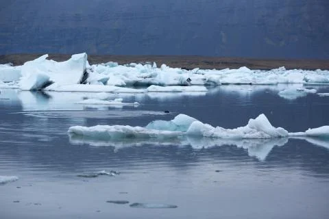Icebergs Foto stock