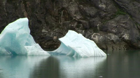 Icebergs Tracy Arm Video stock 156313