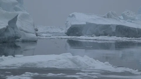 Icebergs under the falling snow in the Arctic Ocean, Greenland Stock Footage 102511734