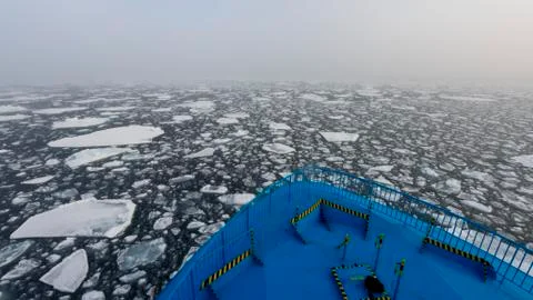 Icebreaker bow in the pack Stock Photos