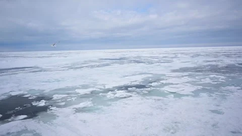 Icebreaker Ship Navigating Through Frozen Arctic Sea – Timelapse 스톡 동영상 340900636