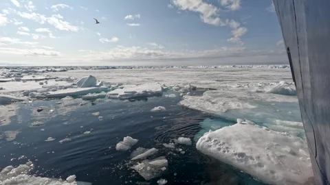 Icebreaker ship navigating through icebergs in the Arctic Ocean Stock Footage 306577063