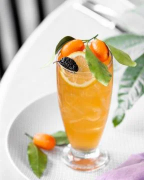 Iced cocktail with citruces on the table Stock Photos
