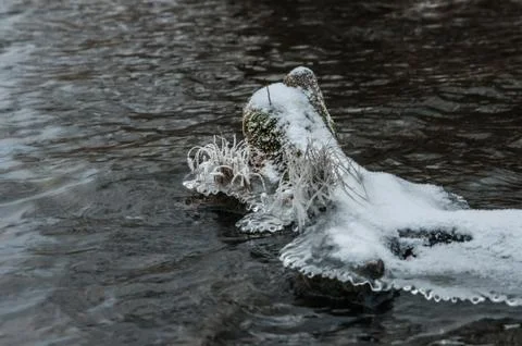 Iced grass Stock Photos