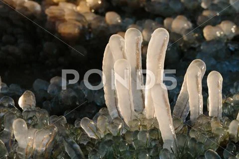 Iced over grass in an abstract beautiful form Stock Photos