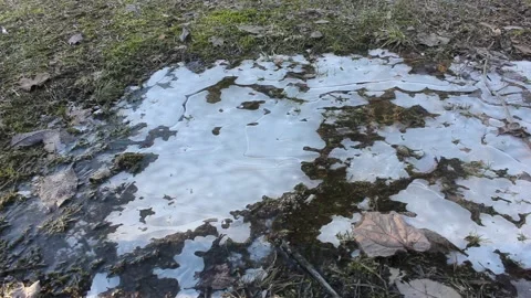 Iced puddle is being crushed with boots during winter Stock Footage 124358042