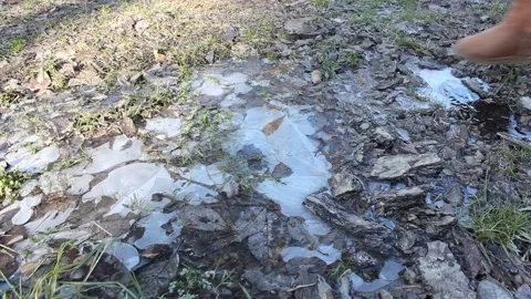 Iced puddle is being crushed with boots during winter Stock Footage 124358049