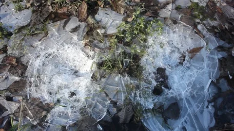 Iced puddle is being crushed with boots during winter Stock Footage 124358065
