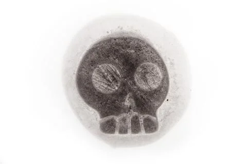 Iced skull Stock Photos
