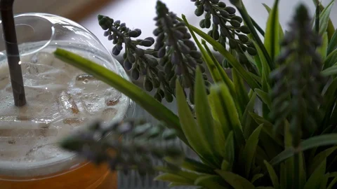 Iced tea refreshment in cafe Stock Footage 88398600