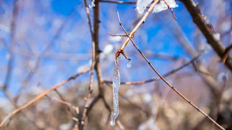 Iced water drops Stock Photos