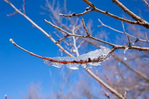 Iced water drops Stock Photos