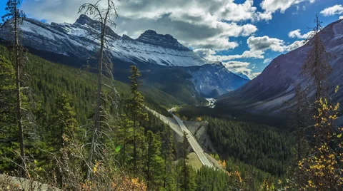Icefield Parkway Video stock 43863281