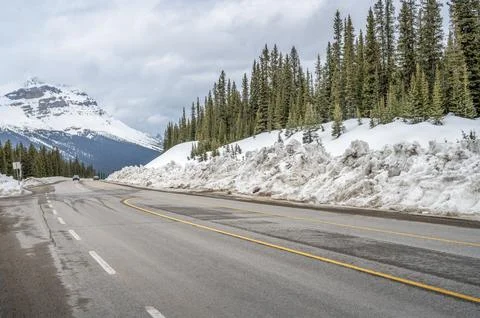Icefields Parkway in Winter 库存照片