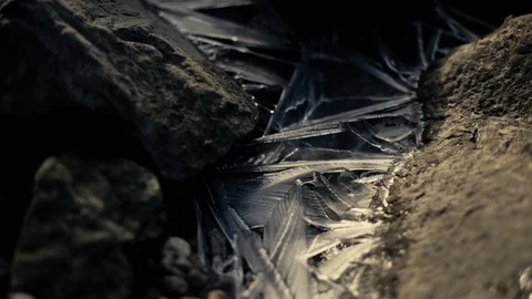 Ice/Frozen Close Ups Stock Footage 99318233