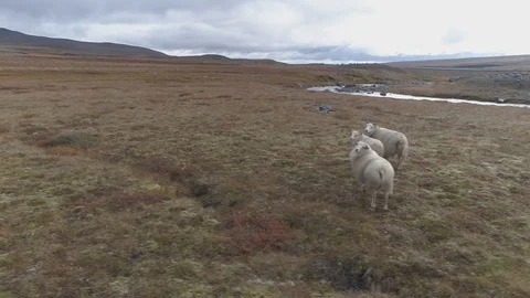 Iceland 4K Video stock 102812198