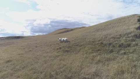 Iceland 4K Video stock 102820585