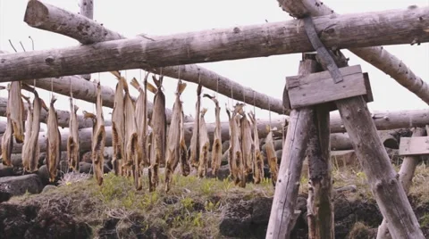 Iceland Dried Fish 2 Video stock 53114404