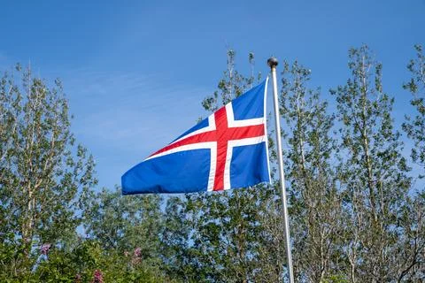 Iceland flag blowing in the wind, trees in the background Stock Photos