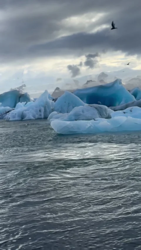 Iceland Glacier Lagoon Stock Footage 295300184