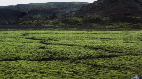 Iceland Green Moss Plain Volcanic Highland Aerial Stock Footage 339079010