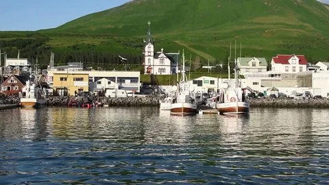 Iceland, Husavik, boat trip. Stock Footage