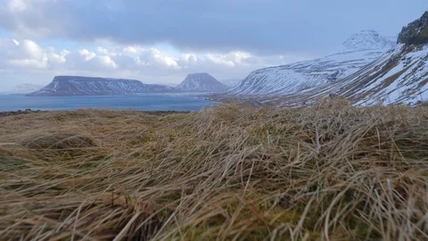 Iceland Moving Along Ground Weeds With Ocean View Of Snow Covered Mountains 1 Stock Footage 87484341