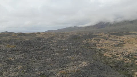 Iceland old lava fields landscape Stock Footage 265022939