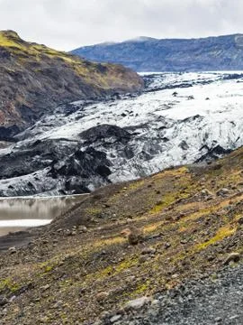 In Iceland Stock Photos