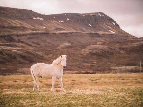 Iceland Foto stock