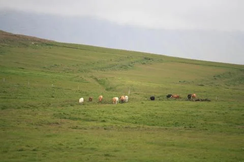 Iceland Foto stock