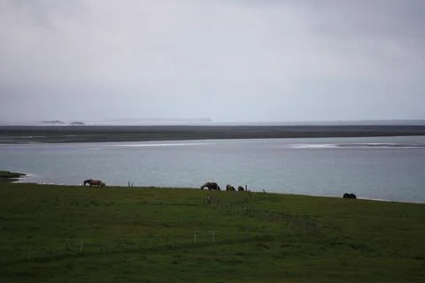 Iceland Stock Photos