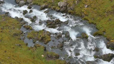 ICELAND sheep Schaf stream Fluss Stock Footage 57517844