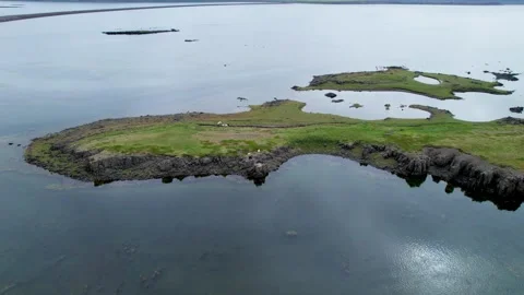 Iceland Sheep Walking Remote West Fjords Island. Drone Flies Around Stock Footage 258481224
