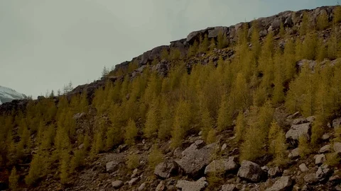 Iceland in Spring Stock Footage 91222638