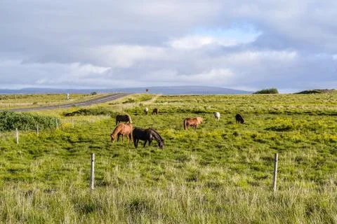 Iceland in summer Stock Photos