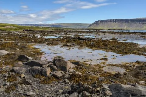 Iceland in summer Stock Photos